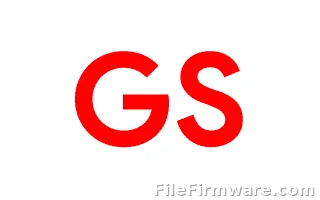 GS firmware